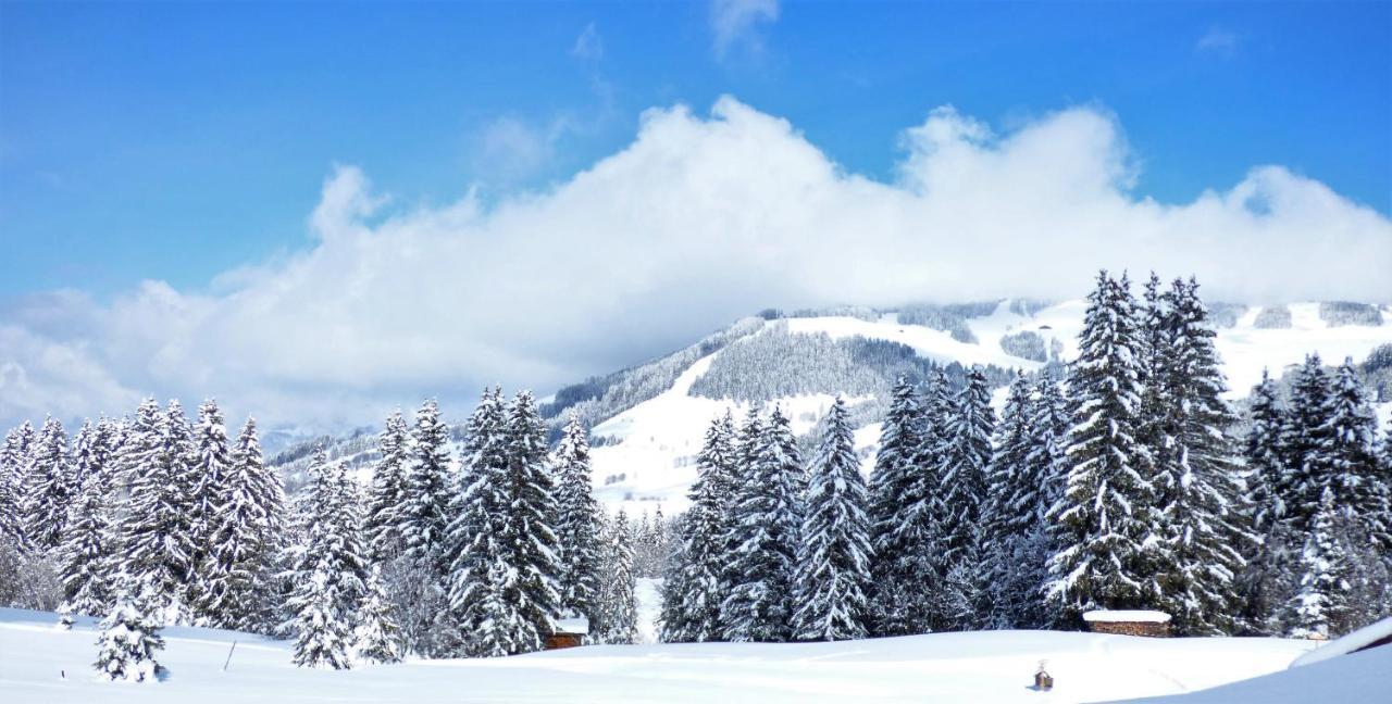 Hotel La Grange D'Arly Megève Esterno foto